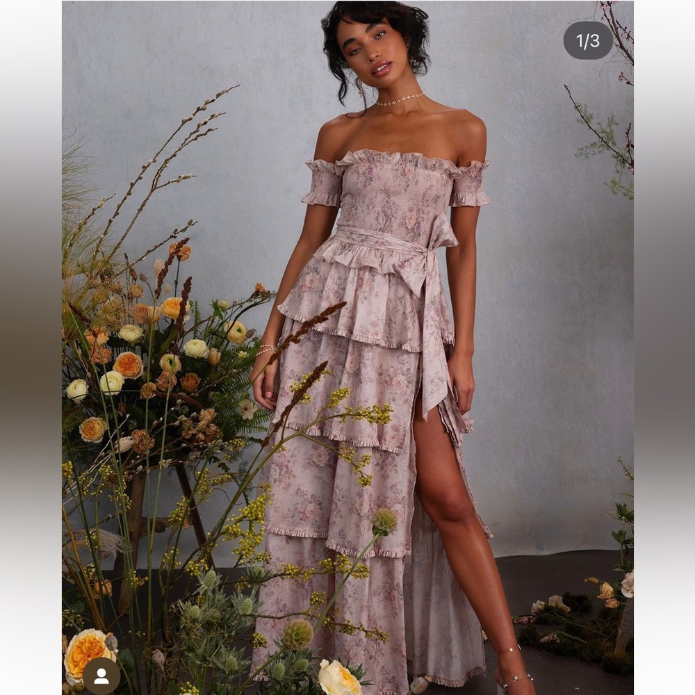 V. Chapman Angelina Dress in Blush Bouquet Sz 6
